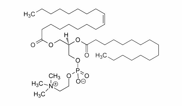 Lecithin in chocolate. Good or bad?