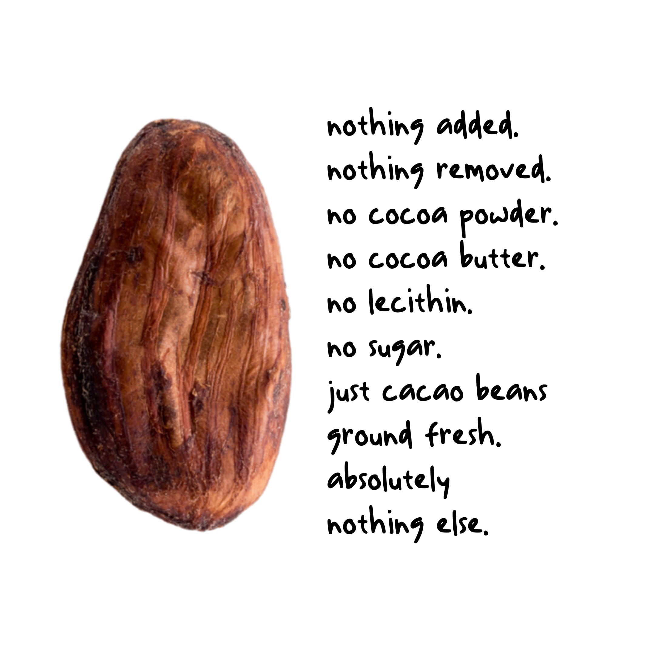 India Cacao